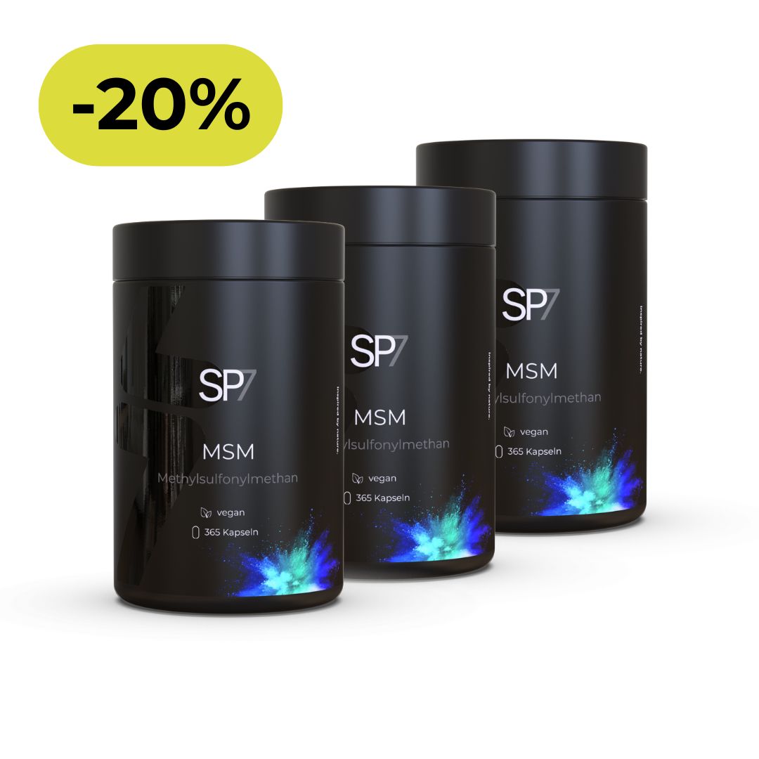 MSM Kapseln