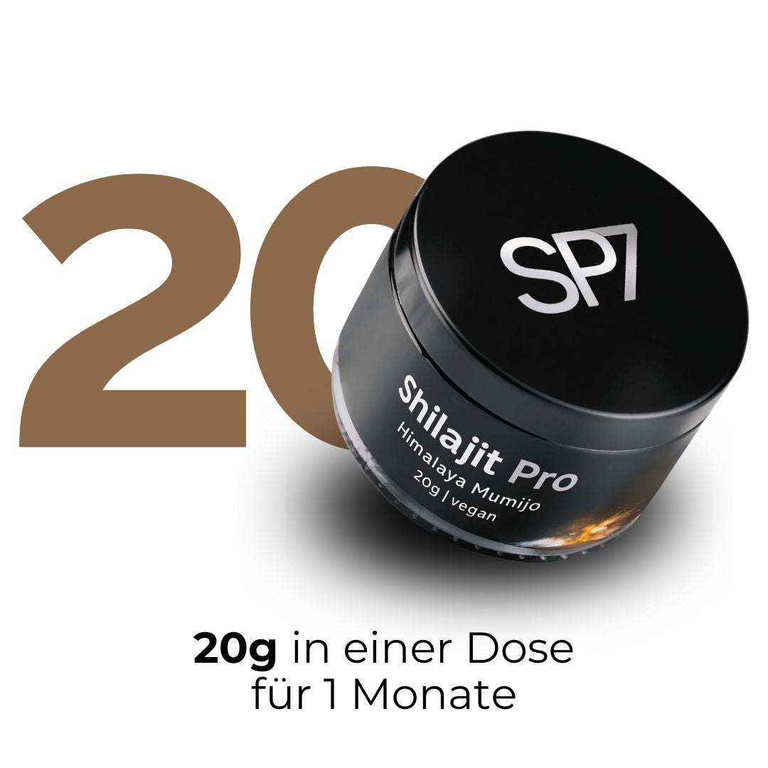 Shilajit Harz