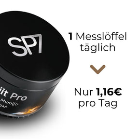 Shilajit Harz